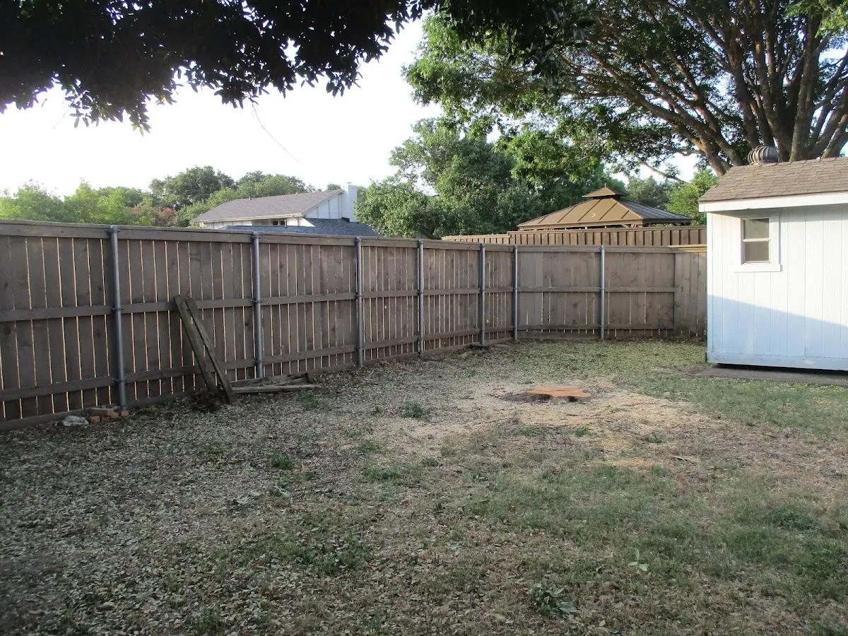 Cleared yard after professional tree removal in Bulpitt