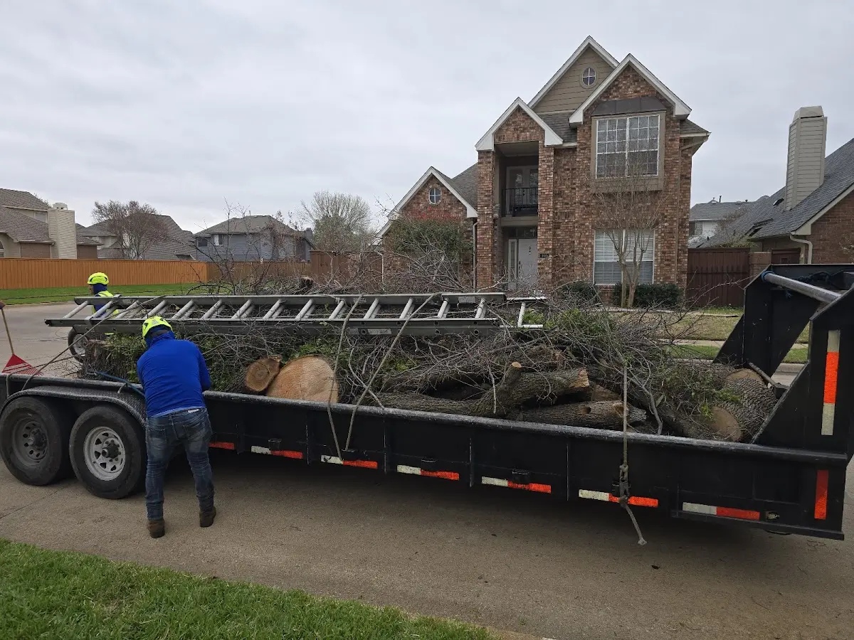 Expert Lot Clearing with proper safety equipment in Bulpitt